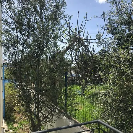 Veizi's Studio *